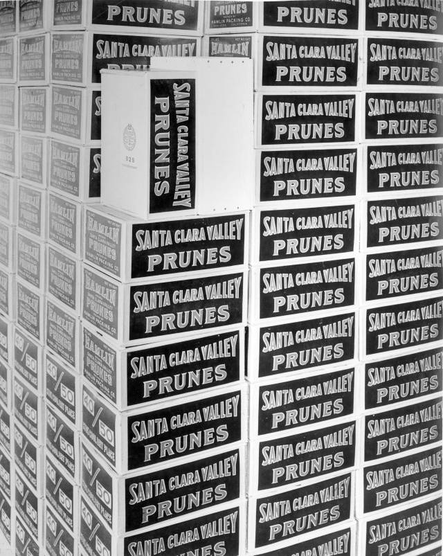 Santa_Clara_Valley_prunes